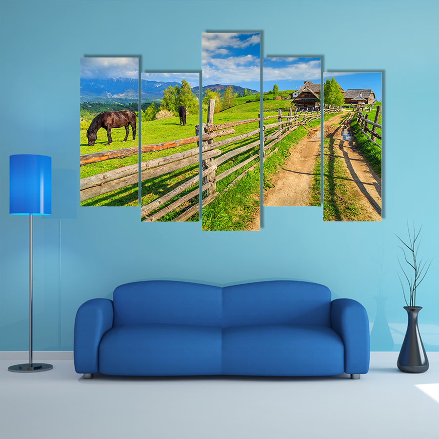 Alpine rural landscape with grazing horses on the green fields, Bran, Transylvania, Romania, Europe multi panel canvas wall art
