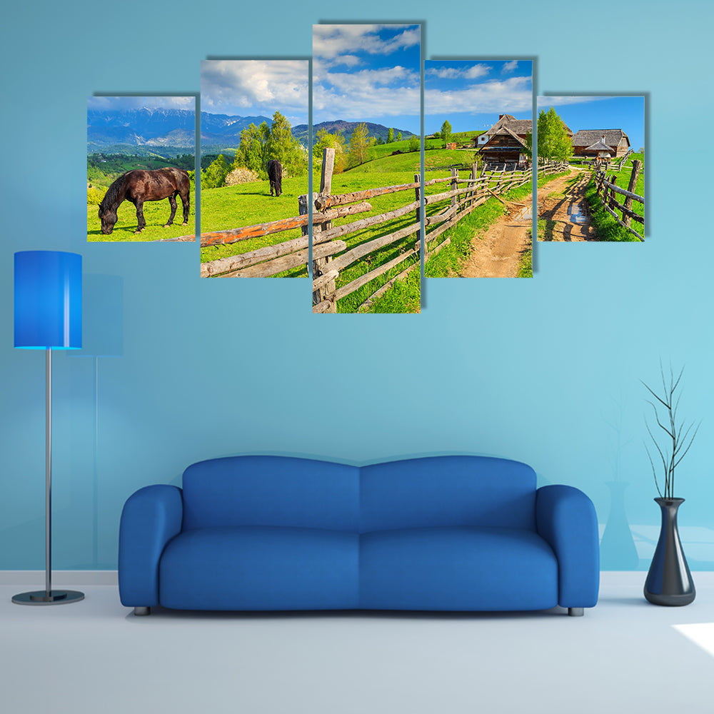 Alpine rural landscape with grazing horses on the green fields, Bran, Transylvania, Romania, Europe multi panel canvas wall art