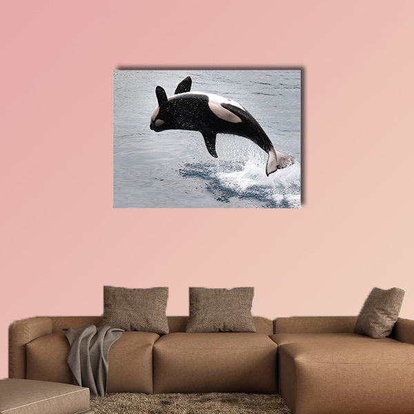  Killer whale jumping out of the water multi panel canvas wall art