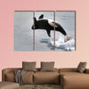  Killer whale jumping out of the water multi panel canvas wall art