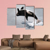  Killer whale jumping out of the water multi panel canvas wall art