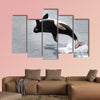  Killer whale jumping out of the water multi panel canvas wall art