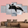  Killer whale jumping out of the water multi panel canvas wall art