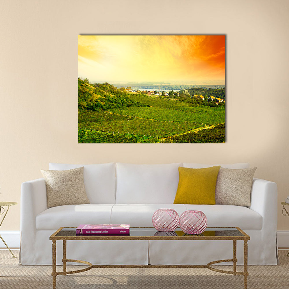 view to vineyard in Serbia Multi panel canvas wall art