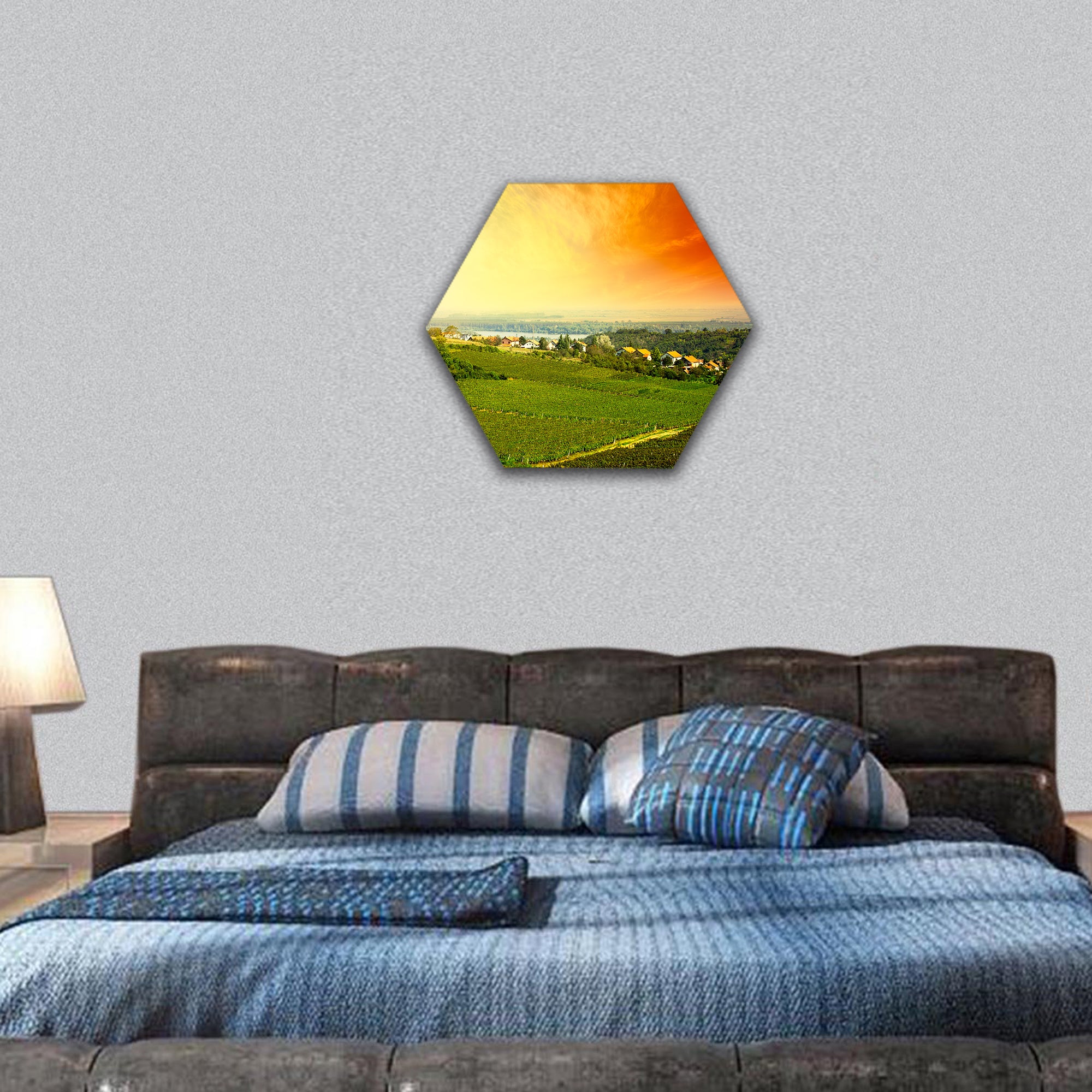view to vineyard in Serbia hexagonal canvas wall art