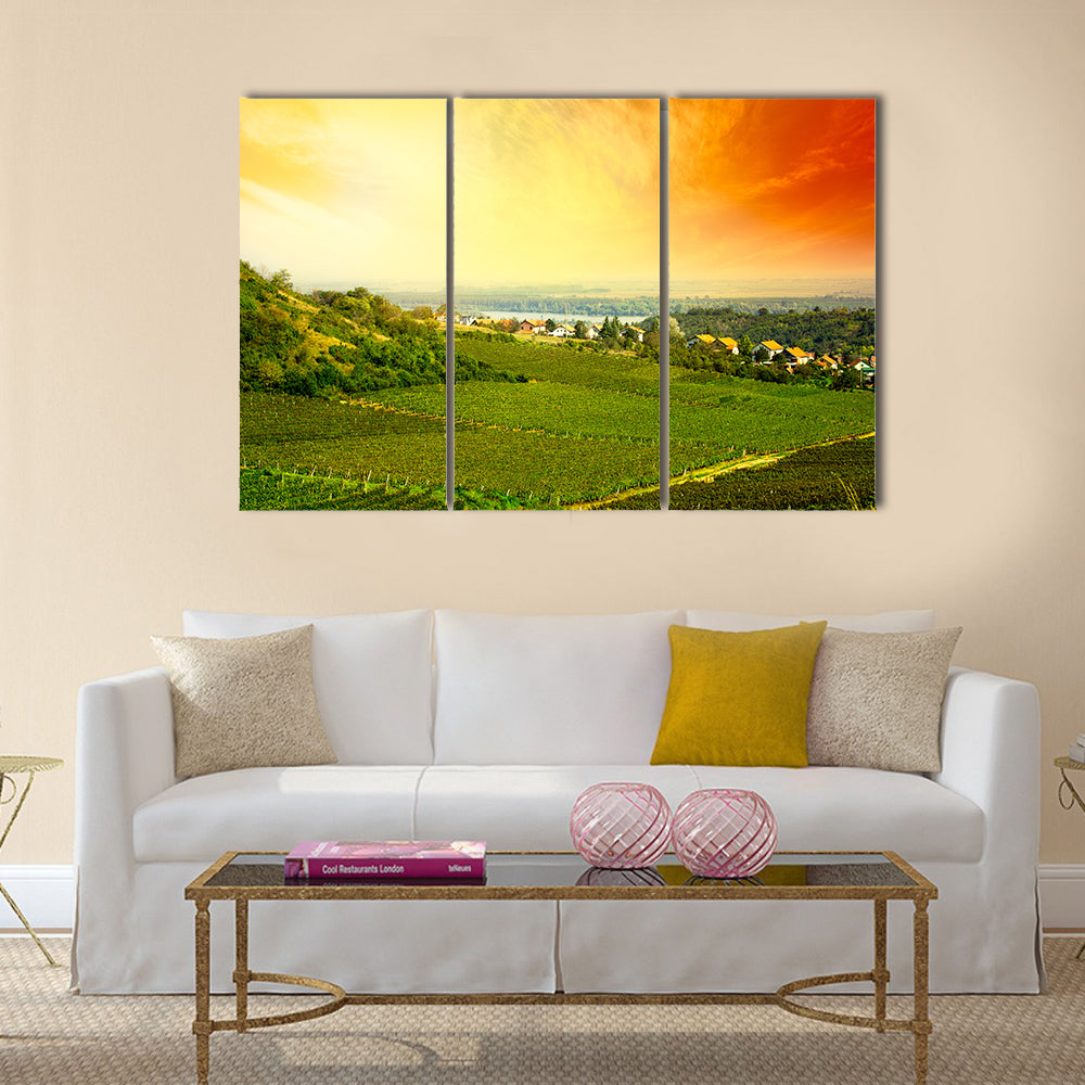 view to vineyard in Serbia Multi panel canvas wall art