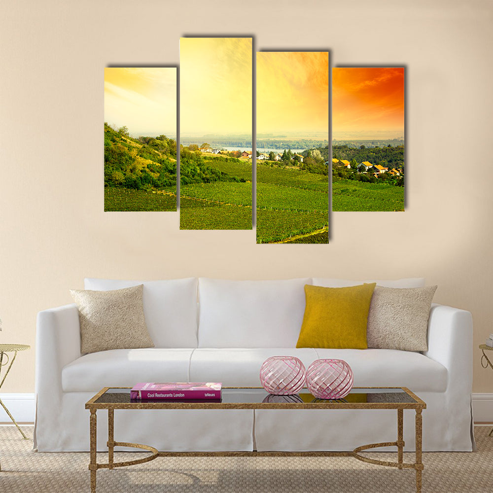 view to vineyard in Serbia Multi panel canvas wall art