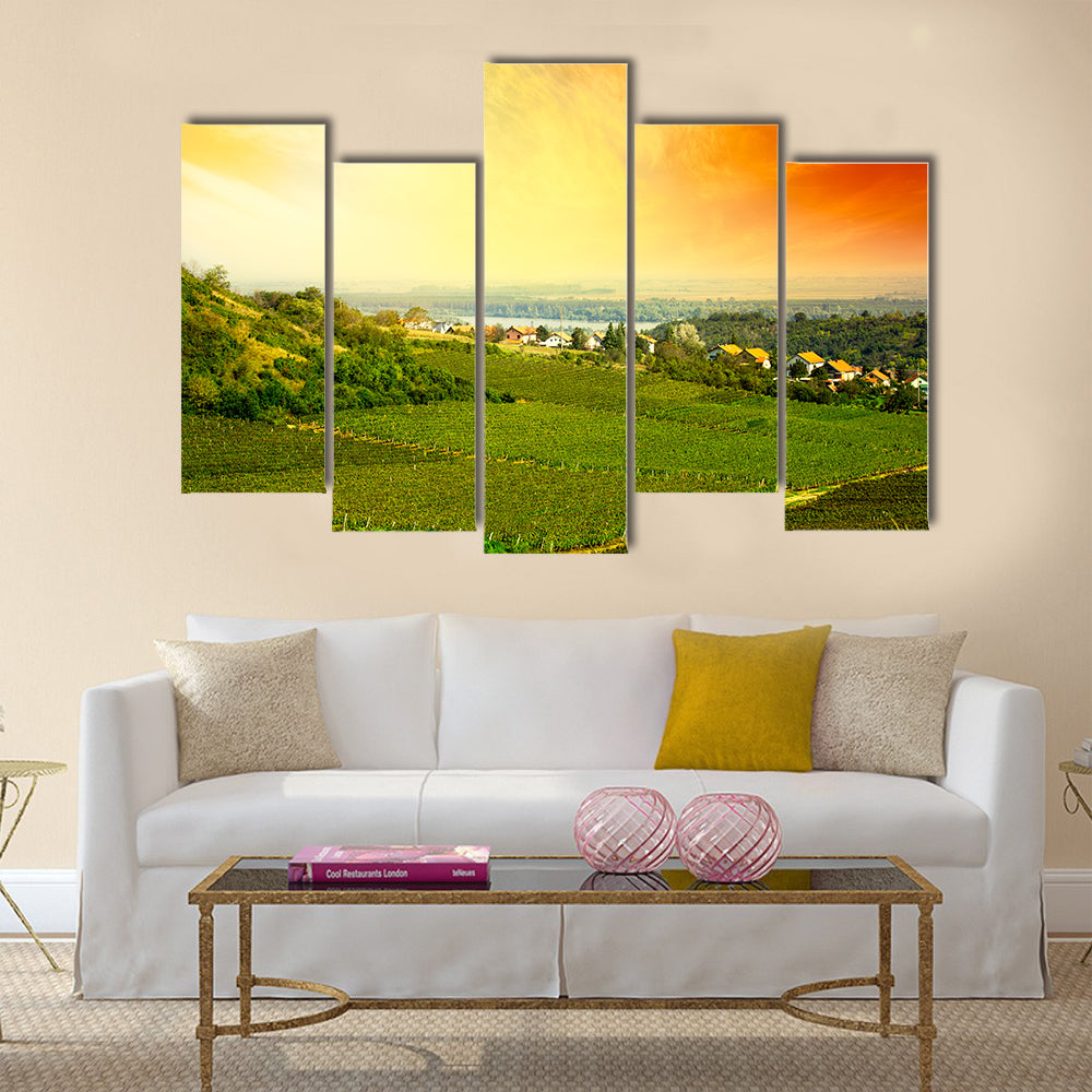 view to vineyard in Serbia Multi panel canvas wall art