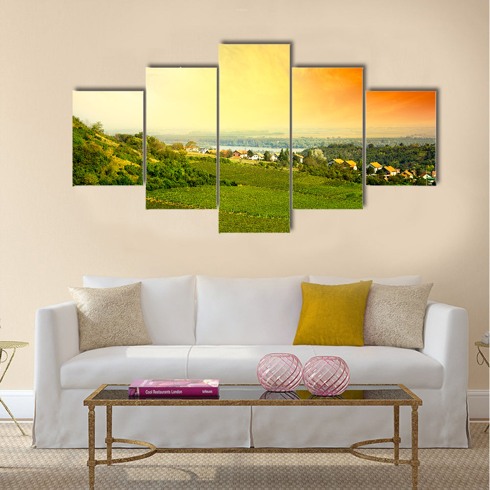 view to vineyard in Serbia Multi panel canvas wall art