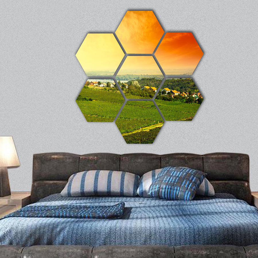 view to vineyard in Serbia hexagonal canvas wall art