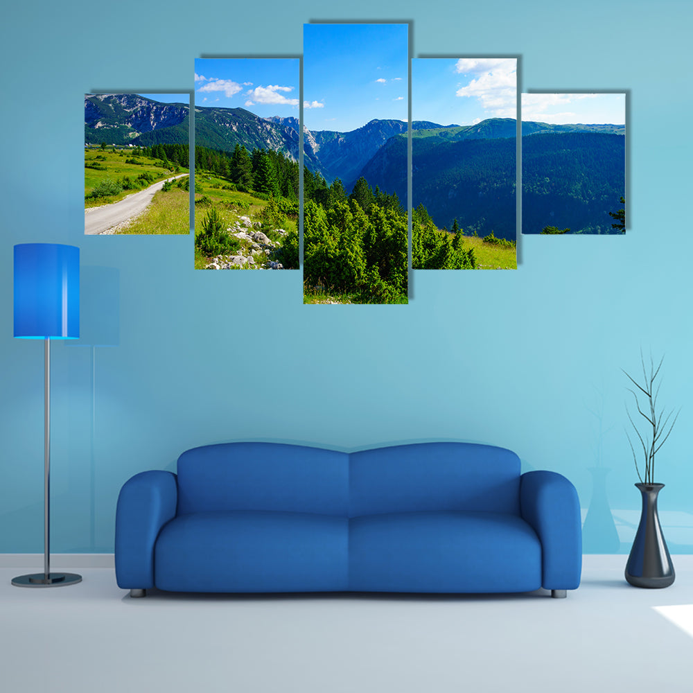 Landscape view and the Susica River Canyon, in Northern Montenegro multi panel canvas wall art