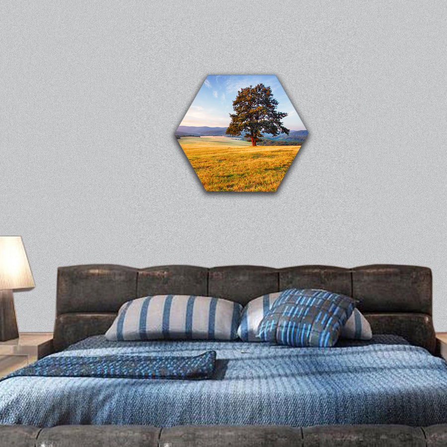 Spring landscape with tree and sun hexagonal canvas wall art