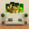 Goldfish in Aquarium with Green Plants Multi Panel Canvas Wall Art