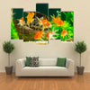 Goldfish in Aquarium with Green Plants Multi Panel Canvas Wall Art