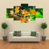 Goldfish in Aquarium with Green Plants Multi Panel Canvas Wall Art