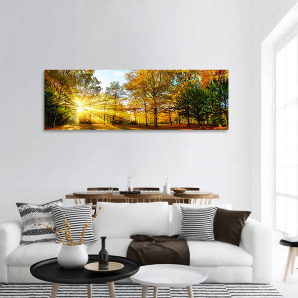 Autumn with sun shining gold foliage forest landscape Panoramic Canvas Wall Art