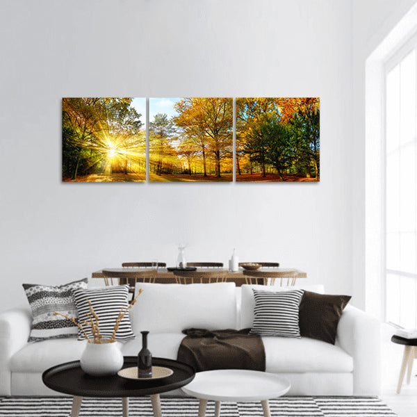 Autumn with sun shining gold foliage forest landscape Panoramic Canvas Wall Art