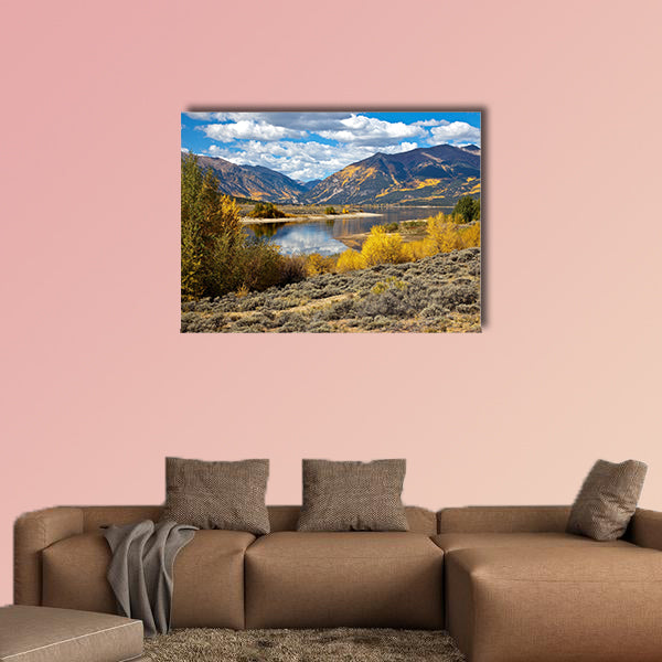 Aspen Trees and fall colors in Colorado multi panel canvas wall art