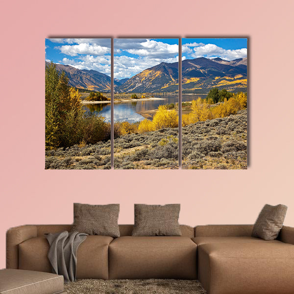 Aspen Trees and fall colors in Colorado multi panel canvas wall art