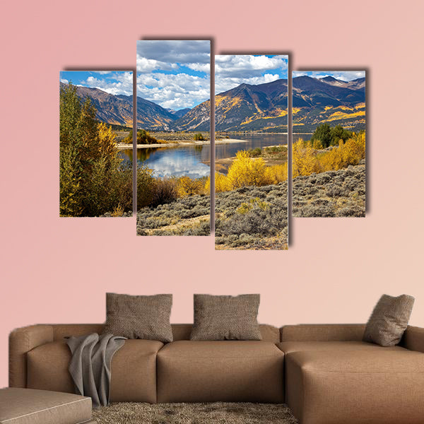 Aspen Trees and fall colors in Colorado multi panel canvas wall art