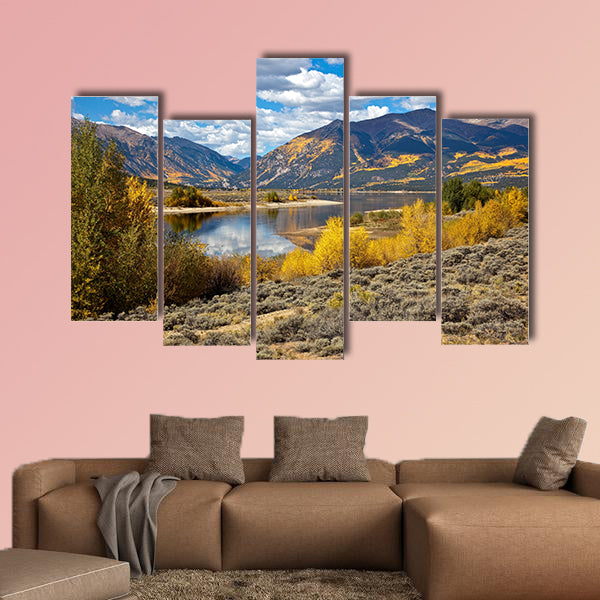 Aspen Trees and fall colors in Colorado multi panel canvas wall art
