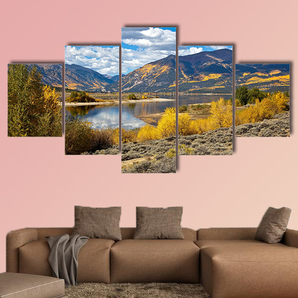 Aspen Trees and fall colors in Colorado multi panel canvas wall art