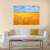 Fields of ripe yellow wheat ready for harvest Multi panel canvas wall art