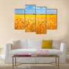 Fields of ripe yellow wheat ready for harvest Multi panel canvas wall art