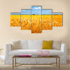 Fields of ripe yellow wheat ready for harvest Multi panel canvas wall art