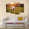 Soccer in the sunset Multi Panel Canvas Art