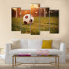 Soccer in the sunset Multi Panel Canvas Art