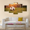 Soccer in the sunset Multi Panel Canvas Art