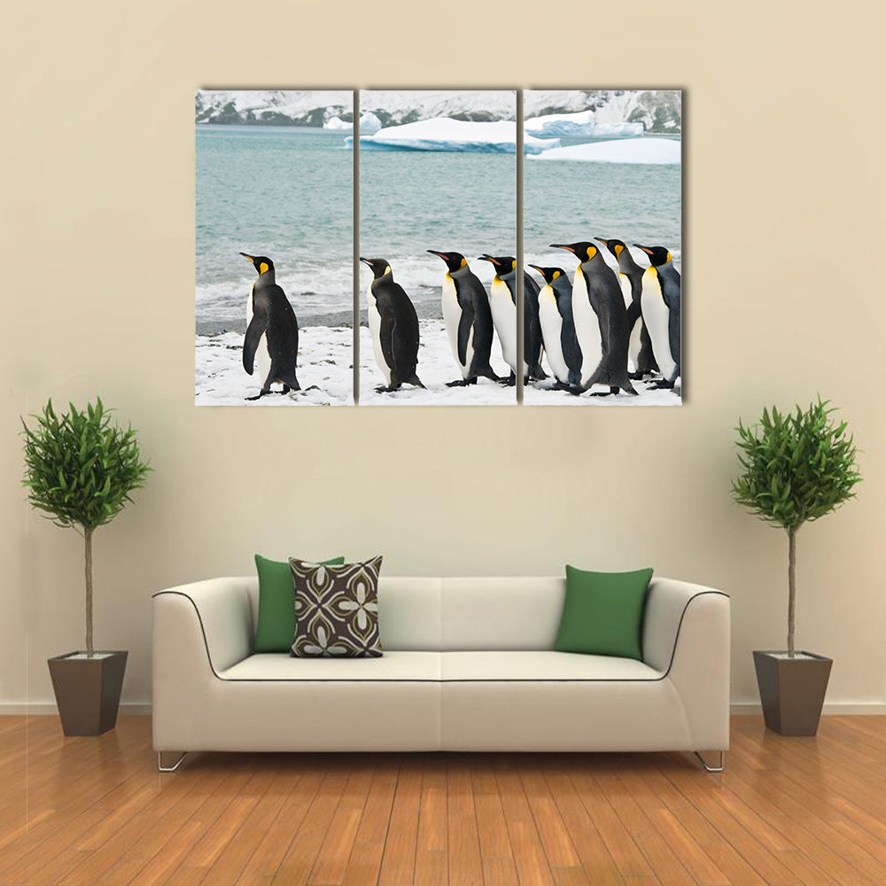 King Penguins In Icy Bay Multi Panel Canvas Wall Art