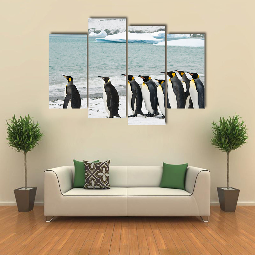King Penguins In Icy Bay Multi Panel Canvas Wall Art