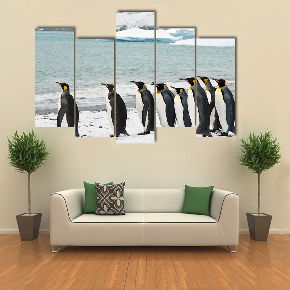King Penguins In Icy Bay Multi Panel Canvas Wall Art