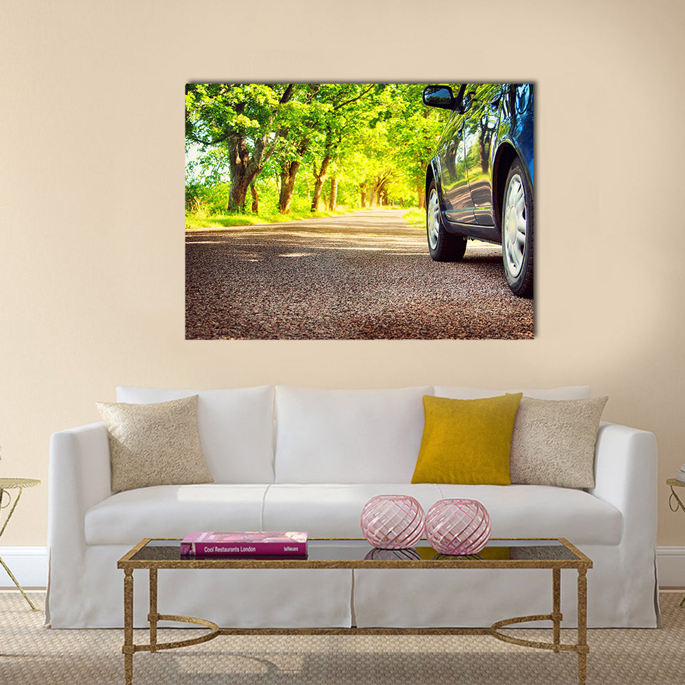 Car on asphalt road on summer day at park Multi panel canvas wall art