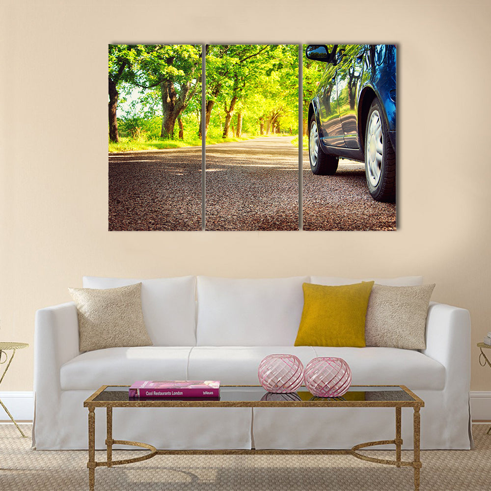 Car on asphalt road on summer day at park Multi panel canvas wall art