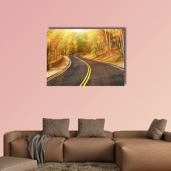  Autumn scene with road in forest at Letch worth State Park wall art