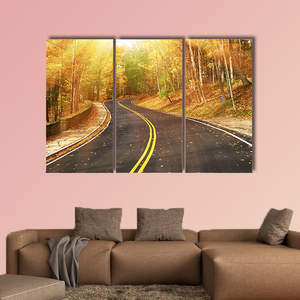  Autumn scene with road in forest at Letch worth State Park wall art