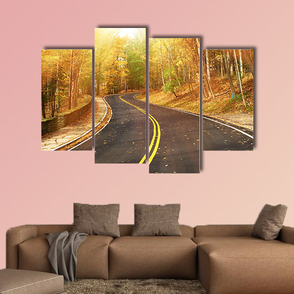  Autumn scene with road in forest at Letch worth State Park wall art