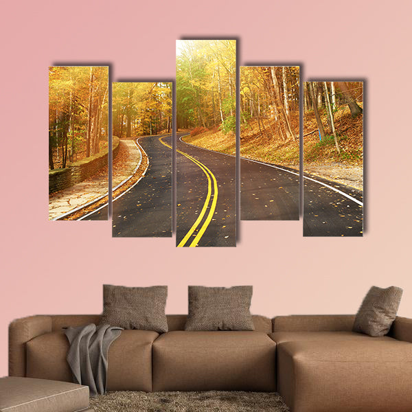  Autumn scene with road in forest at Letch worth State Park wall art