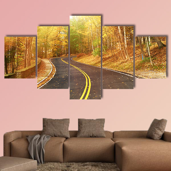  Autumn scene with road in forest at Letch worth State Park wall art