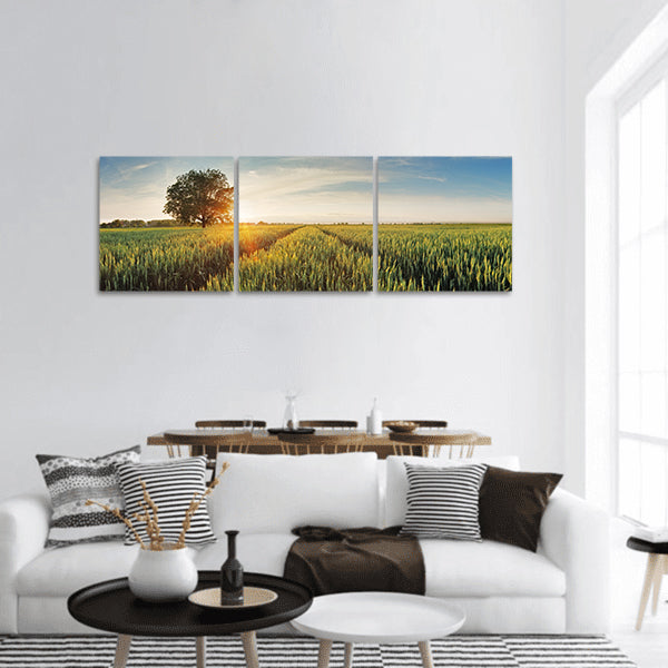 Wheat field at sunset panoramic canvas wall art