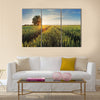 Wheat field at sunset Multi panel canvas wall art