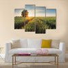 Wheat field at sunset Multi panel canvas wall art