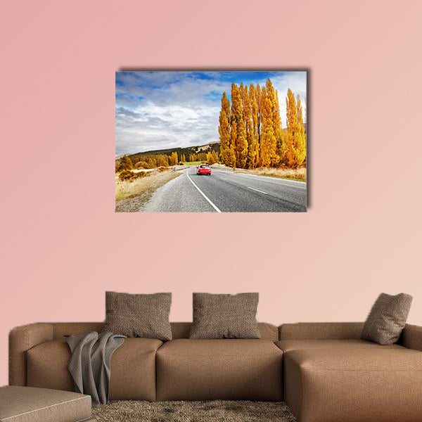 Autumn landscape with road and red car, New Zealand wall art