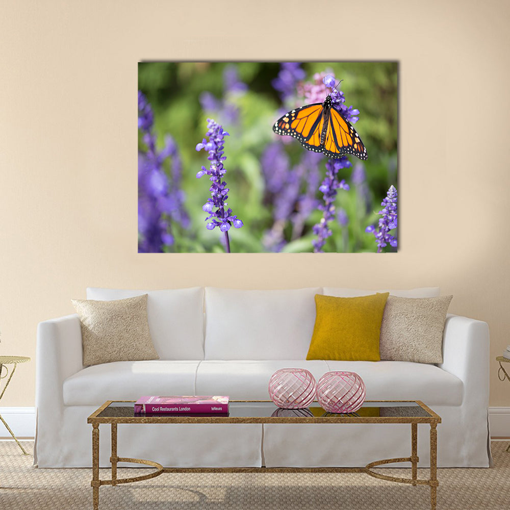 Butterfly - Monarch Multi Panel Canvas Wall Art