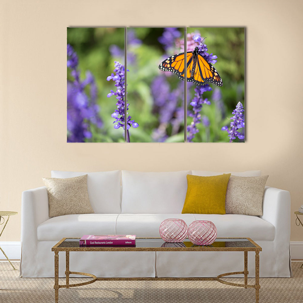 Butterfly - Monarch Multi Panel Canvas Wall Art
