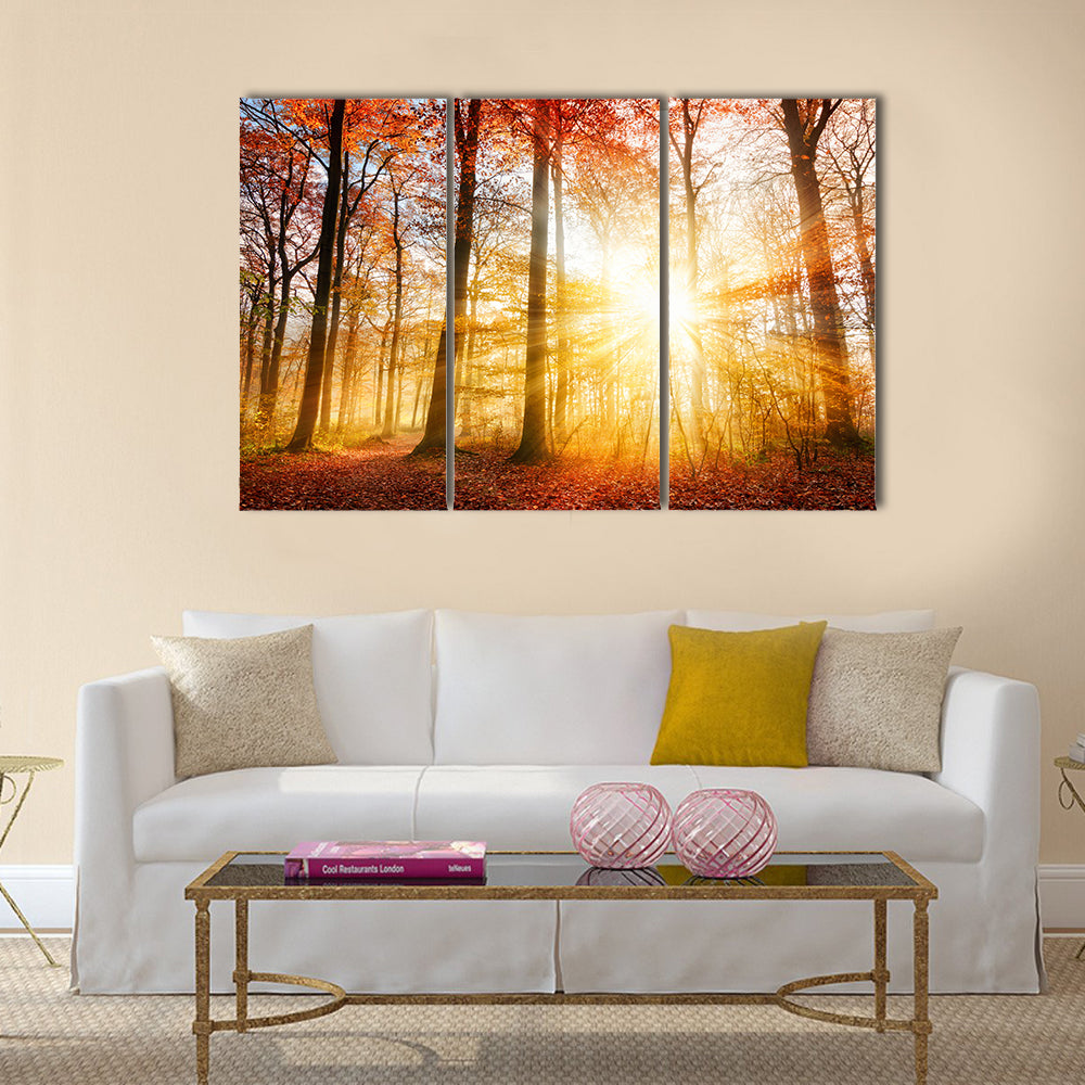 Warm autumn scenery in a forest Multi panel canvas wall art