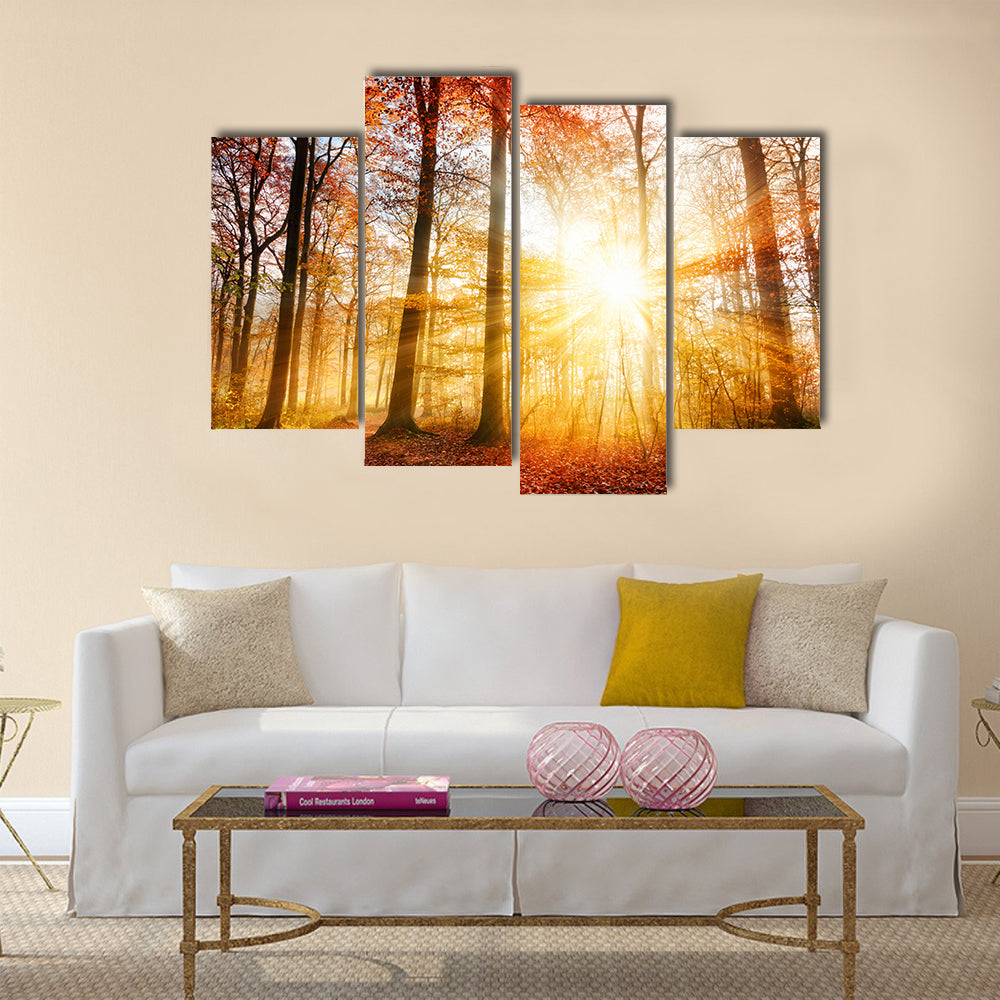 Warm autumn scenery in a forest Multi panel canvas wall art
